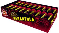 Tarantule 36 kus