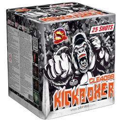 Kickboxer 25 ran 50 mm