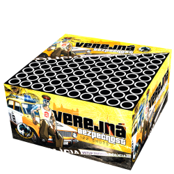 Verejn bezpenost 100 ran 20 mm