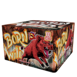 Born Wild 100 ran 25 mm